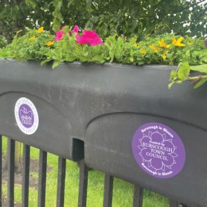 Flower Trays