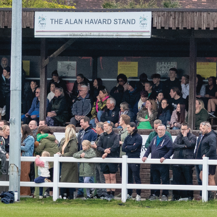 Spectator Stands - Image 2